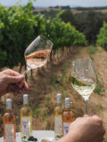 Domaine Les Grandes Marges Domaine Les Grandes Marges