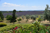 Domaine Les Grandes Marges Domaine Les Grandes Marges