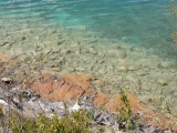 bord du lac