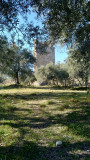 Tour du Mont d'Or