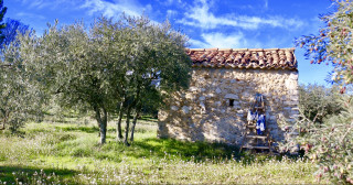 l'olive enchantée du Verdon