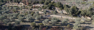 La Soleillerie