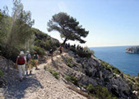 Compagnie des grands espaces
