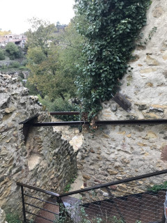 Ruine de la Vière