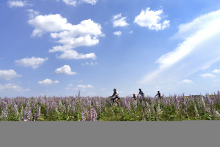 Circuit Provence Verdon VTT 37