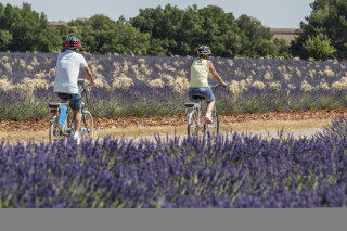 t_vergoz_valensole_premier_10.jpg