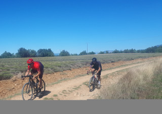 Gravel Bike - Valensole
