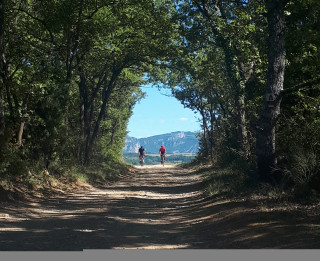 Gravel Bike - Valensole