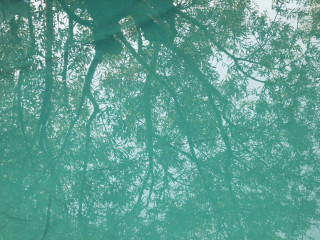 Reflets de l'eau Reflets de l'eau