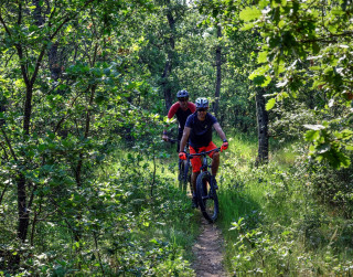 Circuit VTT 9 Provence Verdon