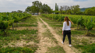 Itinéraire pédestre 