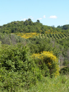Butte de Notre Dame de Belllevue