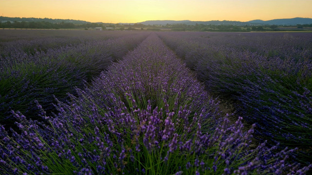 Aire d'accueil camping-cars - Les lavances d'Isabelle et Sébastien