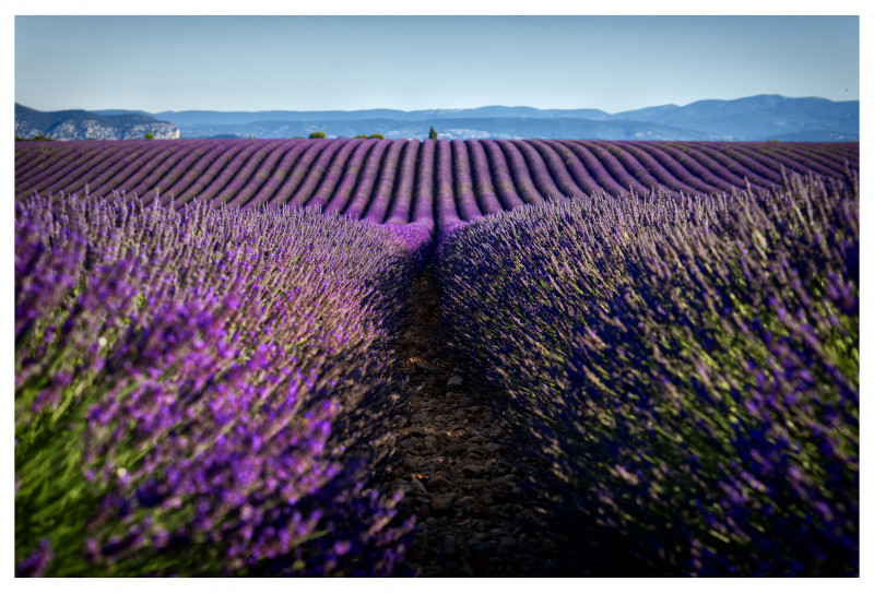 Domaine Les Grandes Marges - © DR : domaine les grandes marges Domaine Les Grandes Marges