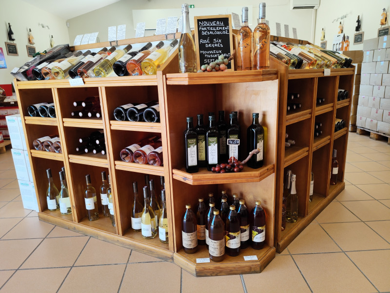 vins vins