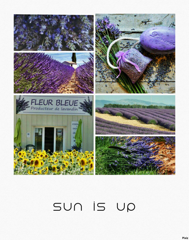 Fleur Bleue Fleur Bleue