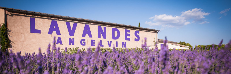 LAVANDES ANGELVIN LAVANDES ANGELVIN