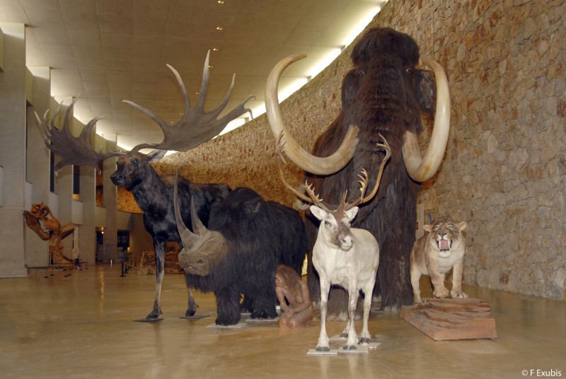 musée_troupeau musée_troupeau
