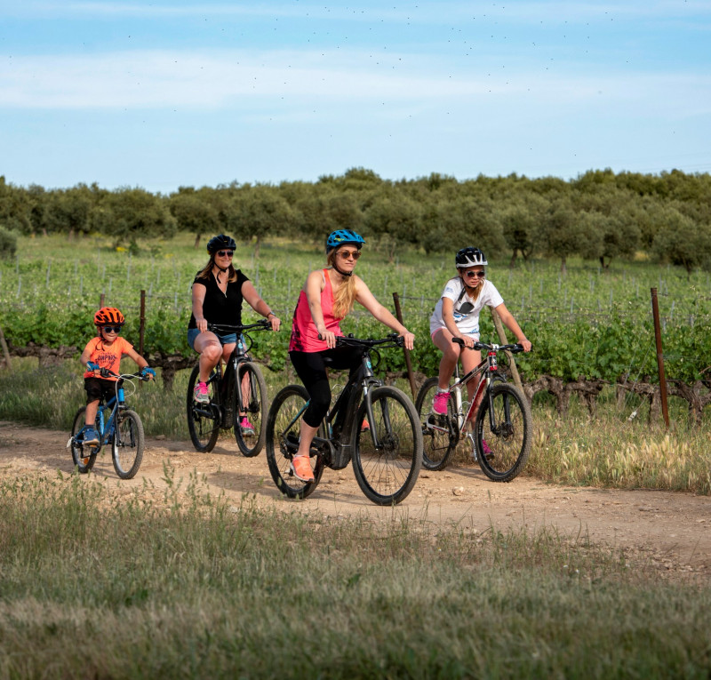Sur le VTT