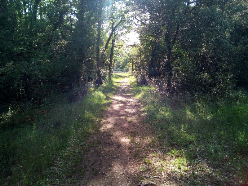 Sortie du parcours de santé le Claou