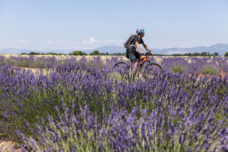 Circuit VTT 38 Plateau de Valensole Circuit VTT 38 Plateau de Valensole
