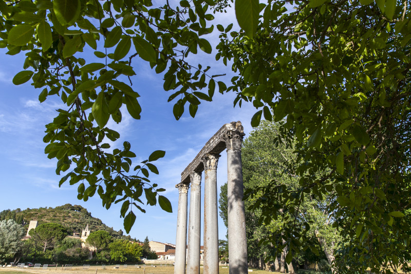 Circuit VTT 26 Riez Provence Verdon