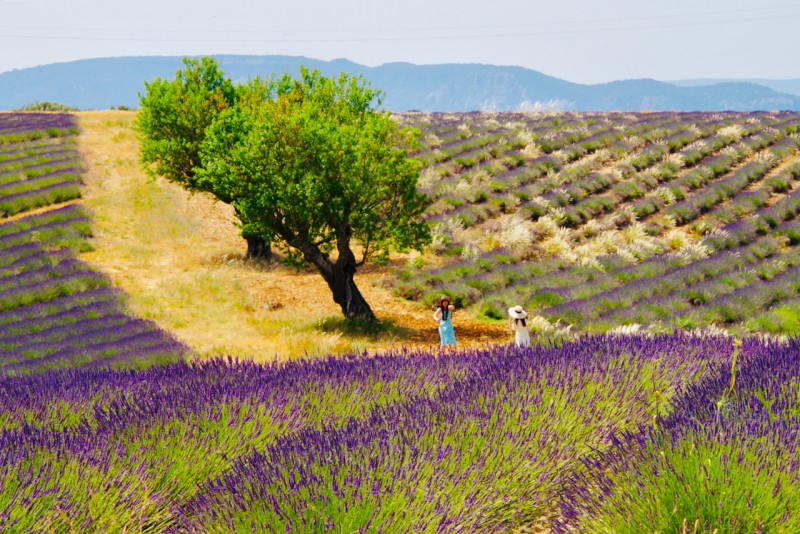 Paysage