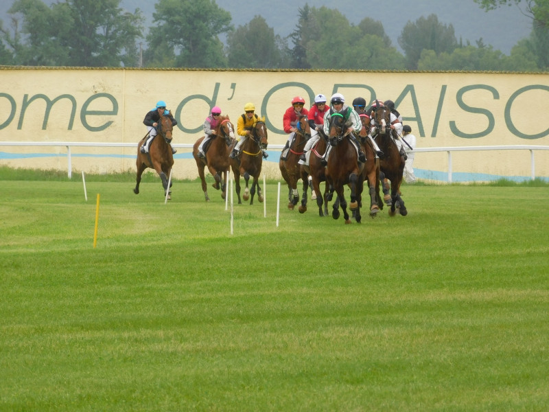 Trot monté - © DR Le Président J-P Pelagio Trot monté