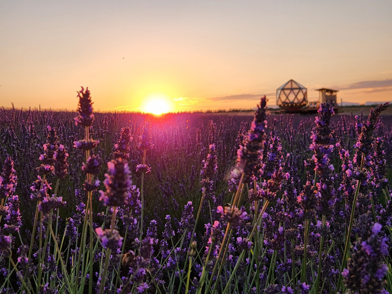 La Bulle Ico_Valensole