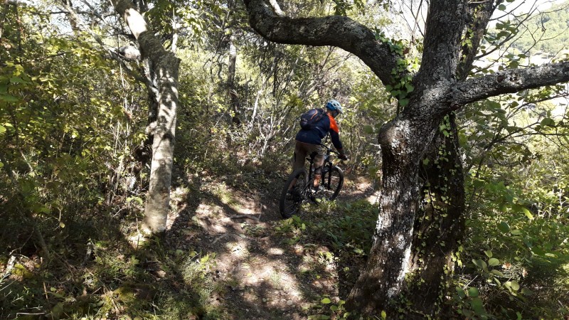 Parcours VTT Simiane-la-Rotonde