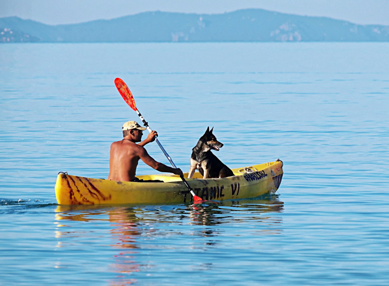 canoe kayak