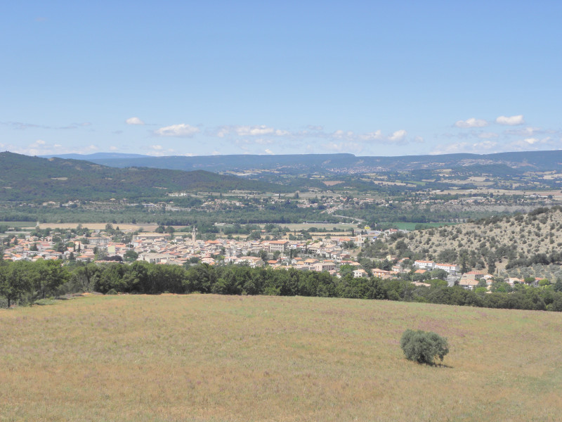 Vue