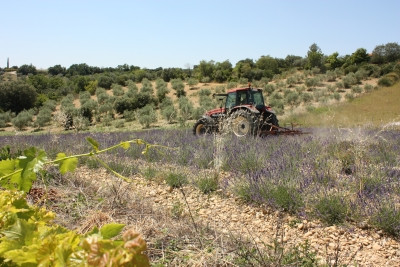 La Ferme du Riou