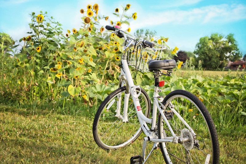 bicycle_g8d41d1791_1280.jpg