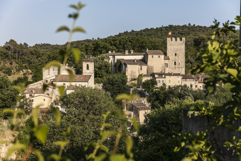 Visite libre du village d'Esparron de Verdon