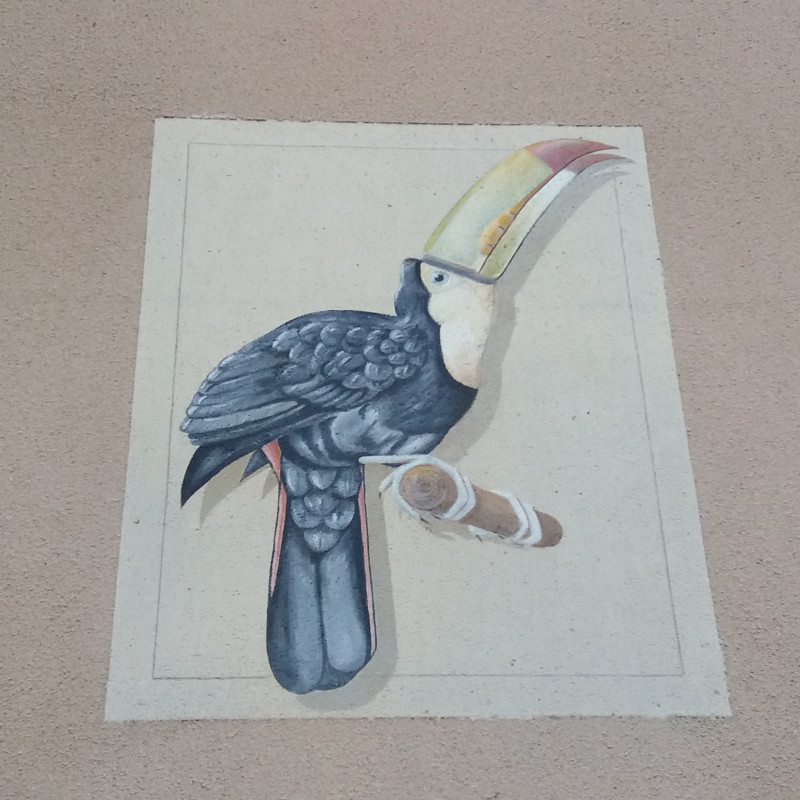 Le toucan