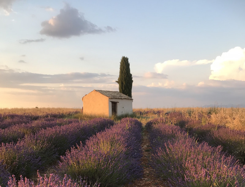 Cabanon
