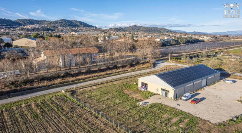 Domaine viticole