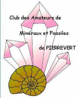 Club amateur des minéraux et fossiles