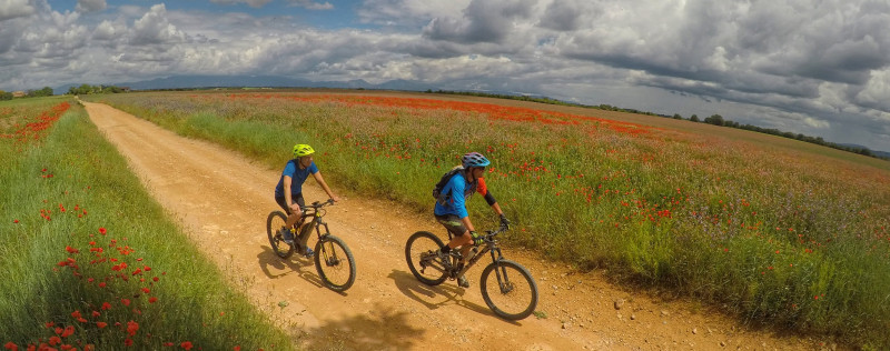 Circuit Provence Verdon VTT 8