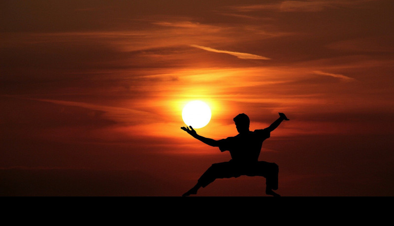 Kung-fu Whushu - 