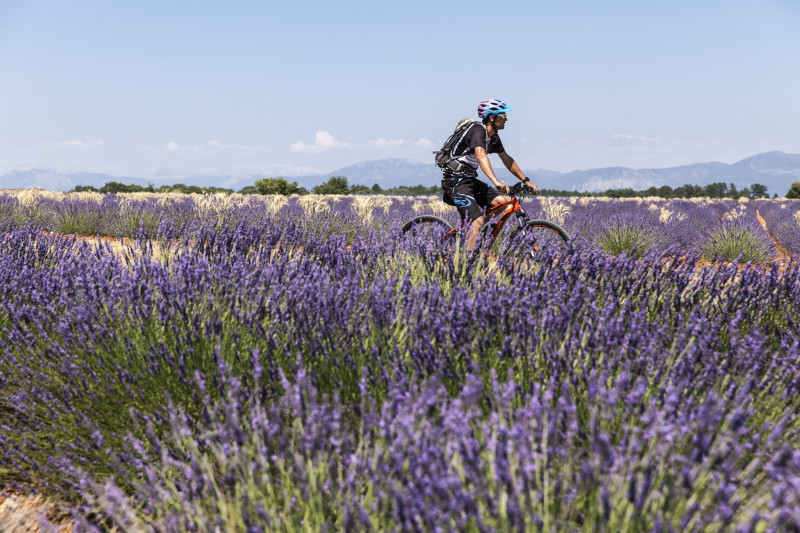 Site VTT FFC-Pays d'Oraison-Coeur de Durance-Circuit 1-Vert-Oraison_Oraison