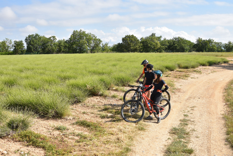 Site VTT FFC-Pays d'Oraison-Coeur de Durance-Circuit 4-Rouge-Oraison_Oraison