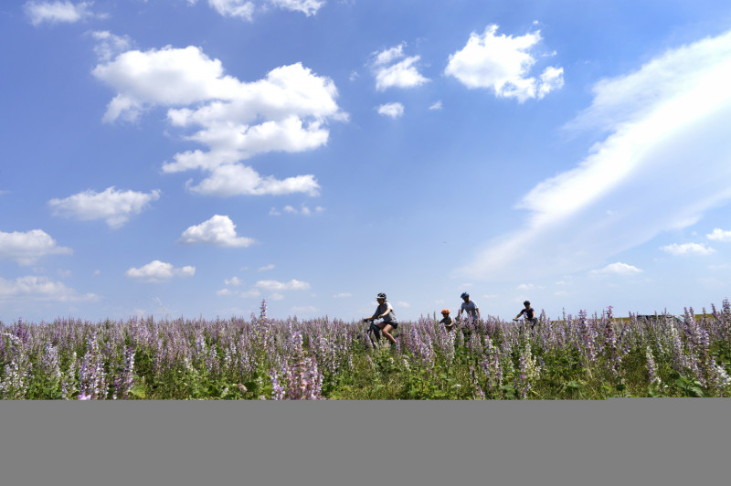 Circuit Provence Verdon VTT 37