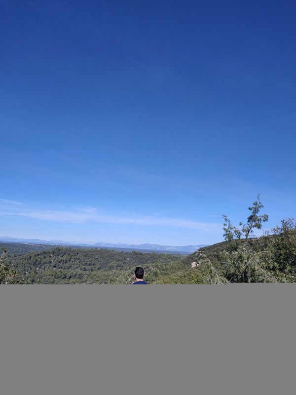 paysage