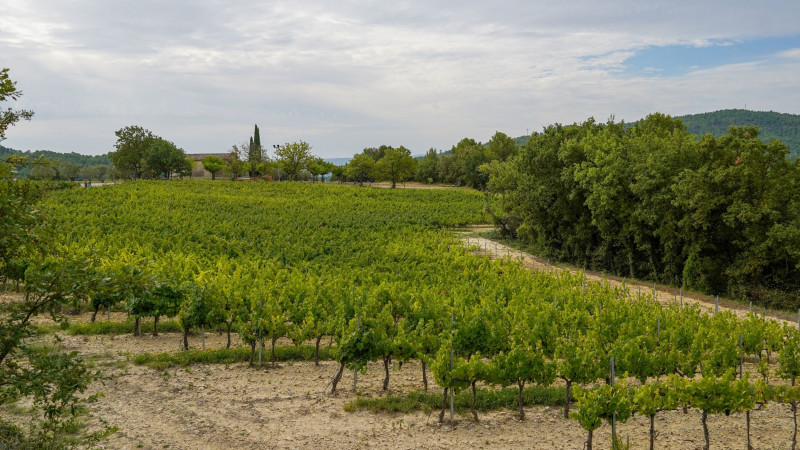 Itinéraire pédestre Itinéraire pédestre