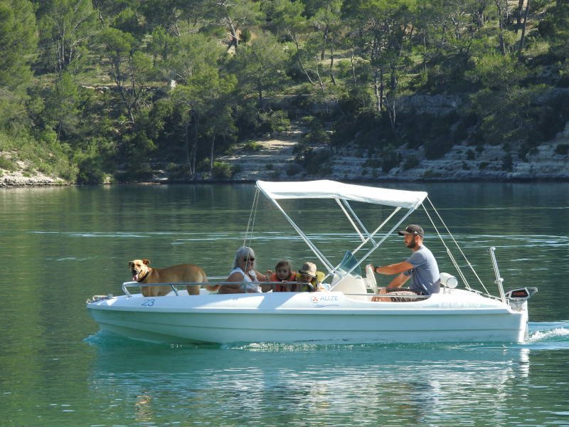 Alize Electronic Location Alize Electronic Location