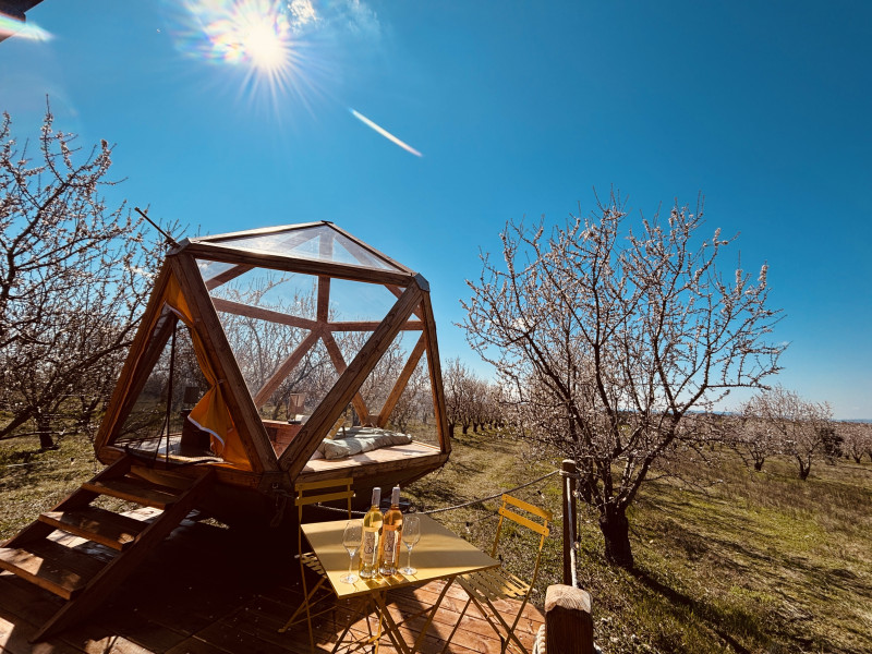 La Bulle Ico_Valensole La Bulle Ico_Valensole