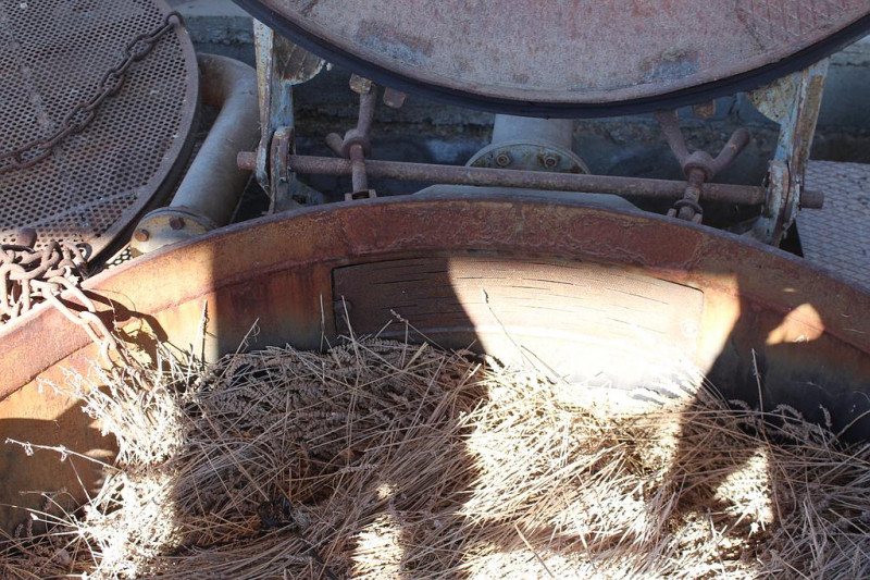 Musée de la Lavande Musée de la Lavande