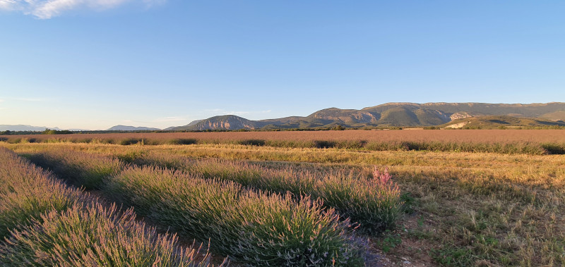 Le mont Denier Le mont Denier